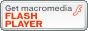 Bajar el Adobe Flash Player